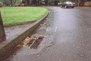 Stormwater Systems: The Options Stormwater