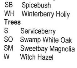 Winterberry Holly, 1 Serviceberry, 1 Swamp White Oak, 3 Sweetbay