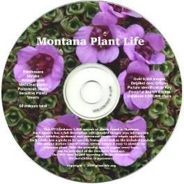 The 2009 version of the Montana Plant Life DVD is available, featuring 1,800 species in 161 plant families, with over 9,000 images, and a text database comparable to several books.