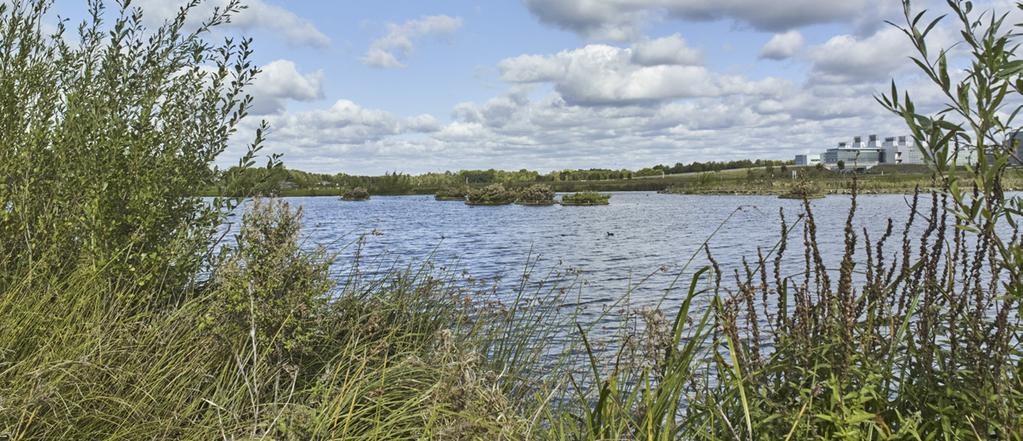 UNWIND IN ACRES OF OPEN SPACE The 120 acre Country Park created at Great Kneighton has been