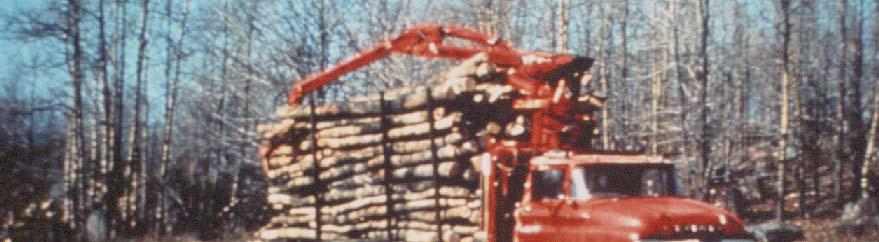 Timber Harvest