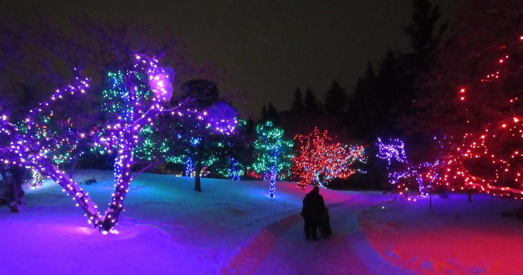 MY WIFE, DAUGHTER AND I WENT ONE EVENING, IT WAS AMAZING. WE WALKED THROUGH THE GARDEN. THE LIGHTS WERE BRIGHT AND LAID OUT NICELY. REALLY ENJOYED IT.