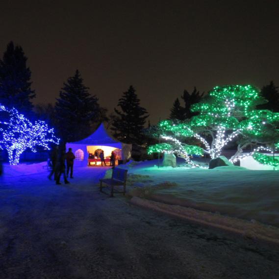 Winter Lights Festival (x2 sets