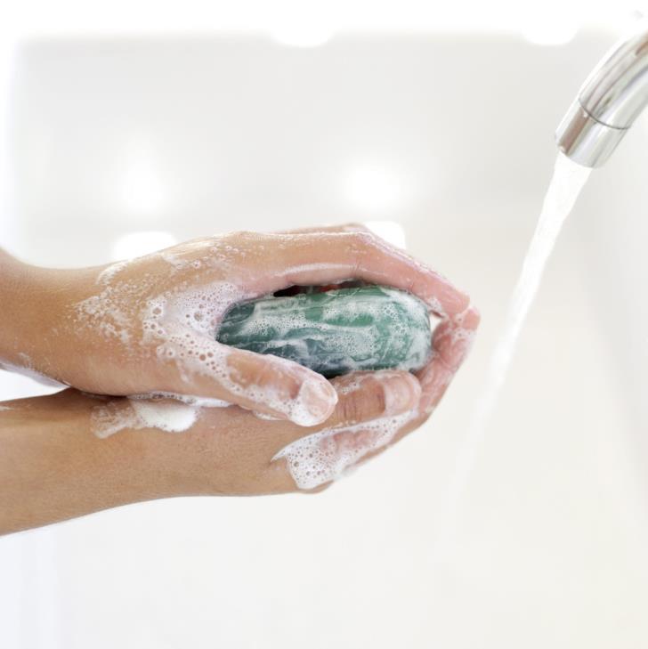 Sanitation RULES: 1. Always wash hands for a minimum of 20 SECONDS with hot soapy water. 2. Wash your hands: a.