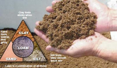 SOILS Soil is the most important component of landscaping.