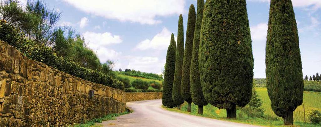 The Art of Living. Casual Elegance Awaits Tuscan Gardens is home to effortless elegance.