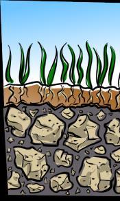 Soil that is very good for plants is fertile.