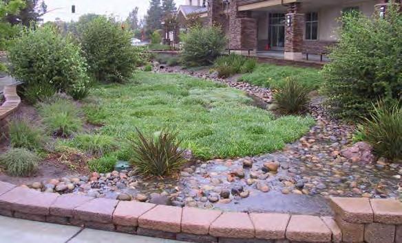 Bioretention Facilities Advantages: can be any shape to fit in a landscaped area, low maintenance Limitations: typically requires 3-4 feet of head, irrigation may be required Bioretention facilities