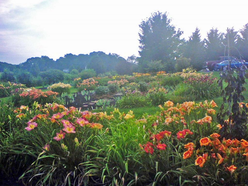 The Piasecki-Stewart Garden is a picturesque setting of gardens, which include a mixture of annuals, perennials, flowering trees and shrubbery, are located in the rural region of northern Harford