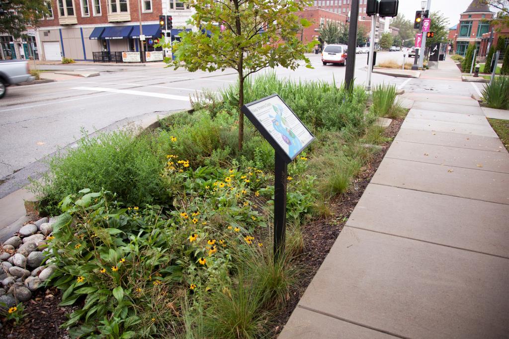 South Grand Great Street in the city of St. Louis Voluntary projects are providing new examples of rainscaping.
