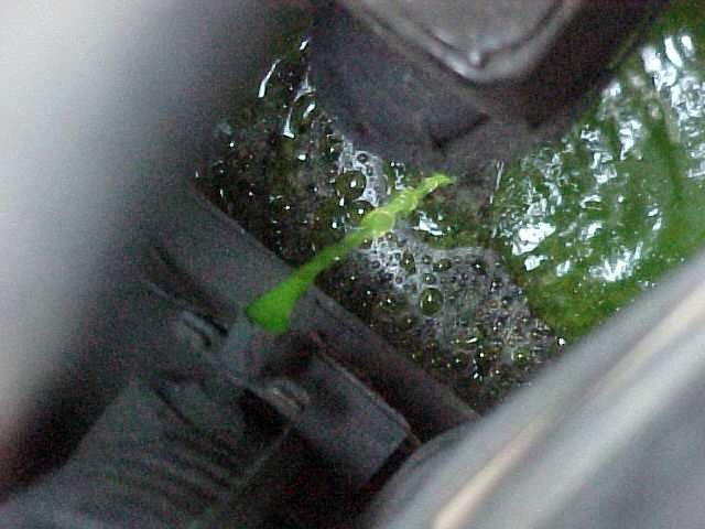 Drain antifreeze into drain pan Block Seal Step 1 Block Seal cannot be added to coolant because it will solidify.