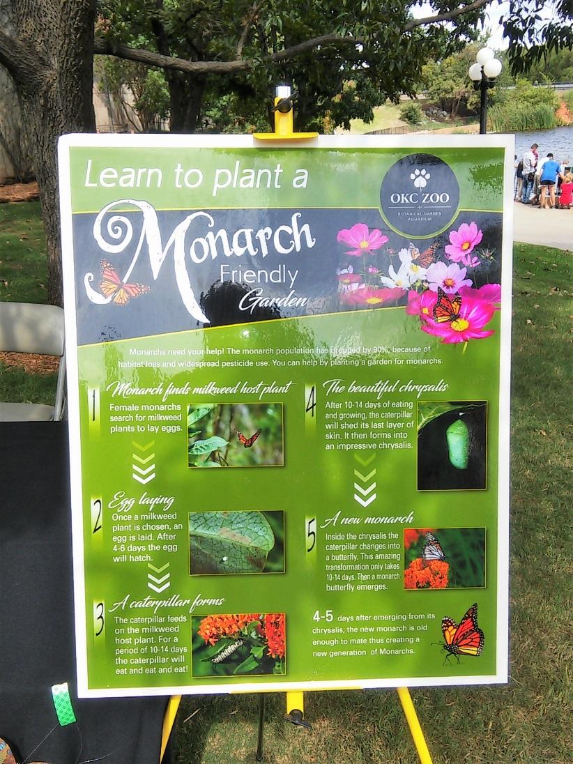 Monarch Festival at the Zoo Diversity of Participants Local