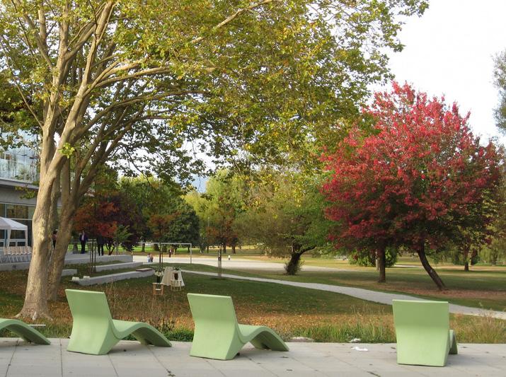 1 Park Planning - General provide large square or rectangular shaped, contiguous park space, to accommodate comprehensive park programming paved areas of the park should be integrated seamlessly into