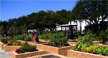 Community Gardens provide?