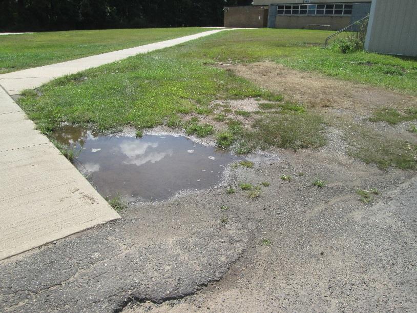 runoff from the school s parking lot. The existing catch basins could handle any overflow from the gardens.