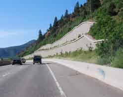 Increased opportunity to incorporate plant material in highway corridor. Softscape treatments further enhance the aesthetic quality of the highway by softening the appearance of structures.