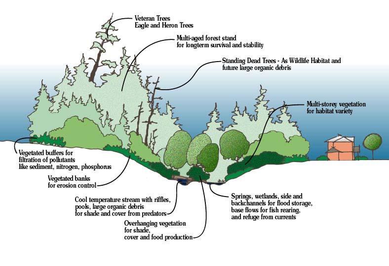 Aquatic Habitat Greenways