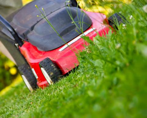 SERVICES GENERAL GROUNDS MAINTENANCE Covering all aspects of grounds care, our general maintenance services ensure your site is properly maintained to the required level.
