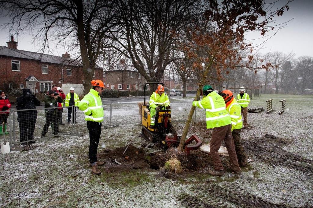Scheme launch event Removal of Collingwood oaks at High