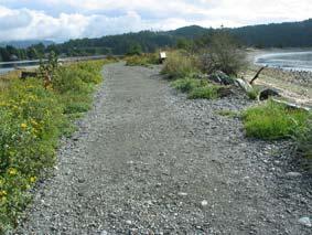 District of North Cowichan Naturalized spit with accessible pedestrian path Gentle naturalized sloping beach A long range vision of a public shoreline pathway extending the length of North Cowichan s