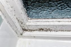 5L/day PERSPIRATION 0.03L/hour (per person) Musty smells in closed rooms. Damp or mouldy clothes in wardrobes. Mould or mildew behind paintings or mirrors. Stains or watermarks on ceilings or walls.
