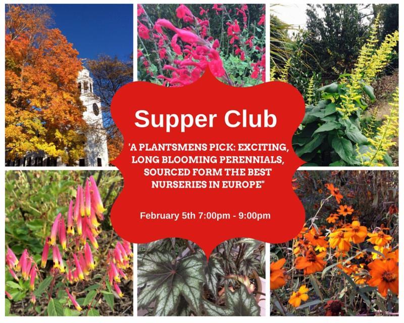 In his talk, Jimi will take you on a breathtaking journey through the newest and most exciting perennials in his collection in Hunting Brook, and from his travels to other gardens and nurseries.