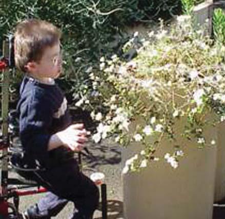 Feelings of control can also be enhanced by involving users in the design of the garden.