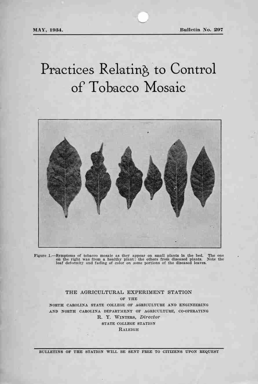 MAY, 1934. Bulletin No. 297 Practices Relating 'to Control of Tobacco Mosaic Figure 1. Symptoms Of tobacco mosaic as they appear on small plants in the bed.