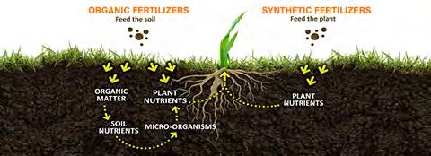 Friday, April 6 th : Choosing Environmentally Friendly Fertilizers The type of fertilizer you use can help determine how much you need!