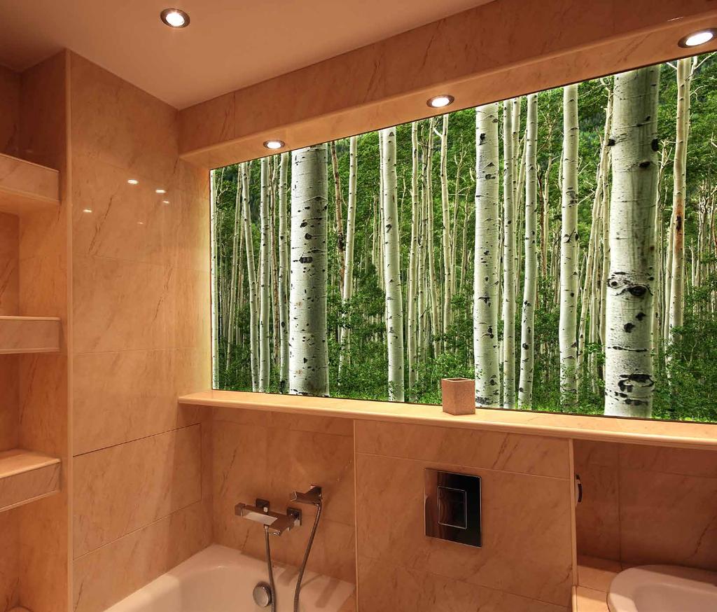 DAY BIRCH FOREST Lighting and color are integral parts of your spa or bathroom