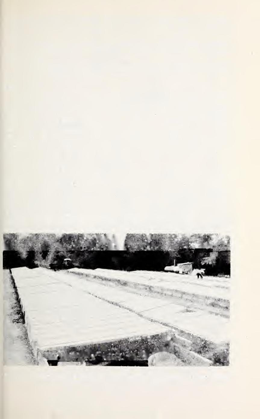 operated by large commercial plant growers. These beds are usually 10 feet wide and have a gable type of cover framing as shown in Figure 4.