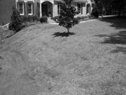 Mowing Height 1 to 1½ inches Prevent Thatch