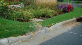 Maintenance: Typical Landscaping Requirements Weed: 4-5x 1 st yr, 3x 2 nd yr, then 2x/yr Prune &