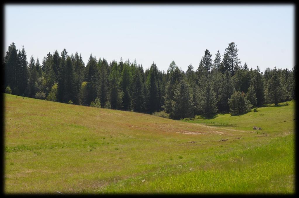 Overview Specifically designed as a pilot and horse-lover s dream, this 173 +/- acre property is a gem in Northern Idaho.