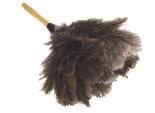 Microfiber/Dusting Tools Econo Ostrich Feather Duster Variety of ostrich feathers Clear lacquered wood handle 13 T1201G 065681 730035 12 23 T1203G 065681 730011 12 Professional Lambswool Feather