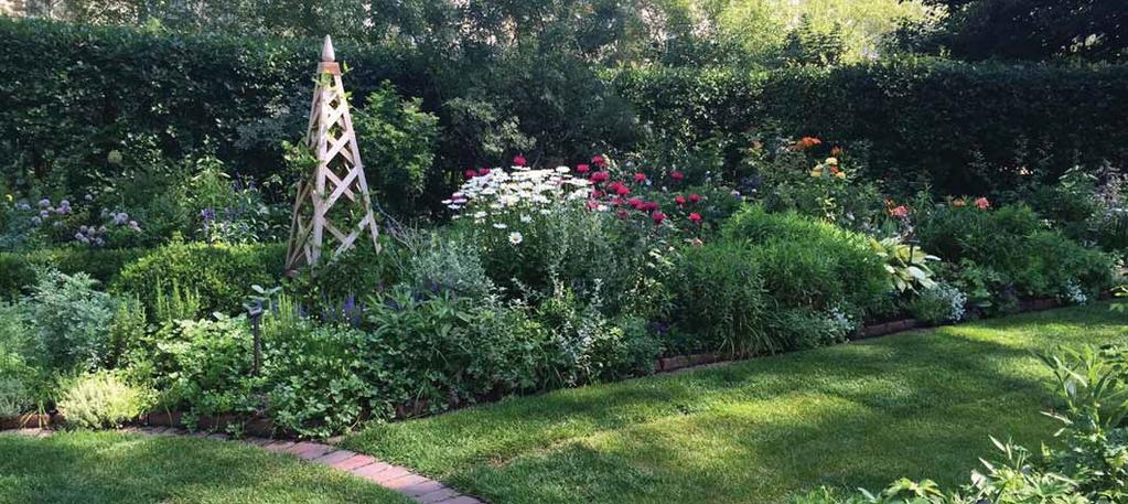 New custom designed and built wood Obelisks for climbing Clematis were added to replace metal mass-produced versions that had been installed years earlier.