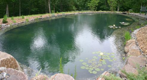 Our swim ponds are designed with no defined swim zone with its outside perimeter offering varying widths and depths of planting area creating a natural biological filter.