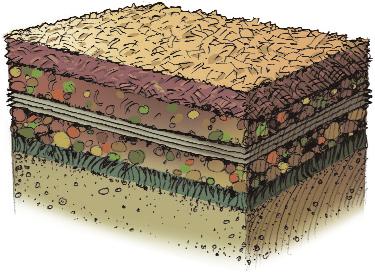 soil lasagna recipe (aka Sheet Mulching to Remove Turf) Ingdients: SHOVELS & RAKES BINS FOR REMOVED GRASS AND SOIL (WARM SEASON TURF GRASS ONLY) LANDSCAPE FLAGS COMPOST OR WORM CASTINGS MULCH