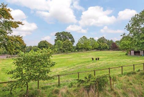 The parkland and paddocks provide amenity and ample grazing and the current