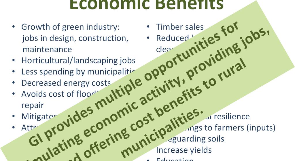 Economic Benefits Growth of green industry: jobs in design, construction, maintenance Horticultural/landscaping jobs Less spending by municipalities Decreased energy costs Avoids cost of