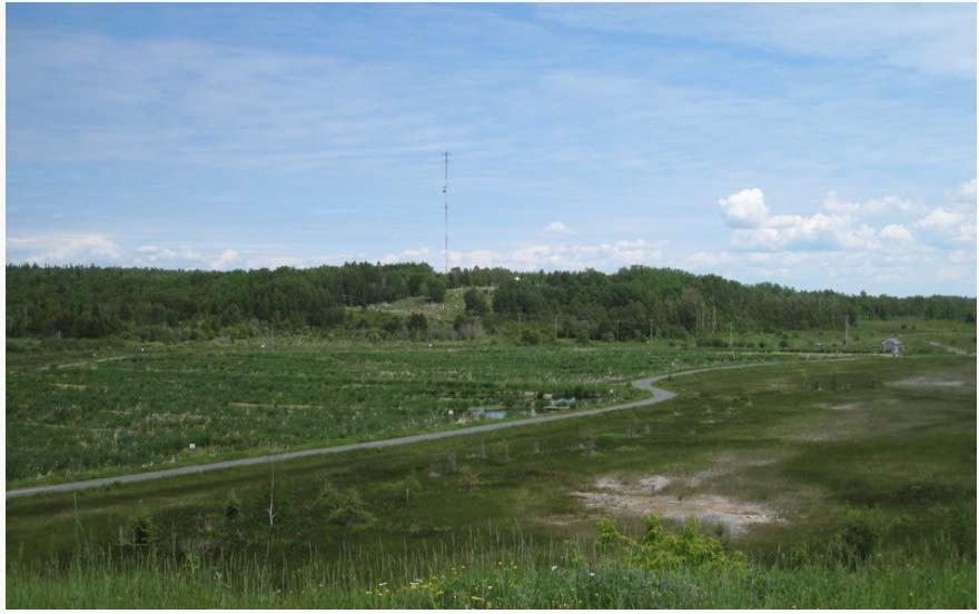 Other GI Elements: Constructed Wetlands for Wastewater