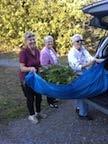 volunteers decorated the main street planters for the