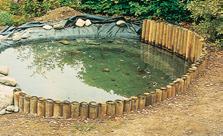 To do this, extend the liner up behind the edging (see illustration) and backfill with soil or rocks to create a barrier that holds the liner upright and prevents both pond