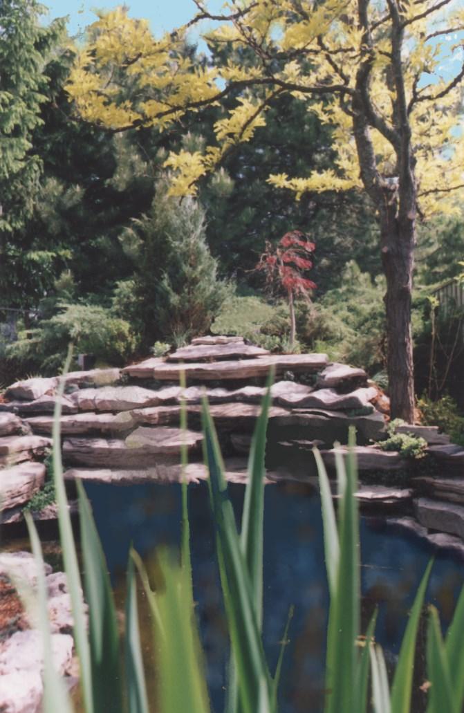 Site Selection The location of your pond is a crucial component in ensuring continued success and enjoyment. Consider the following components: Sunlight A medium of sun and shade is required.
