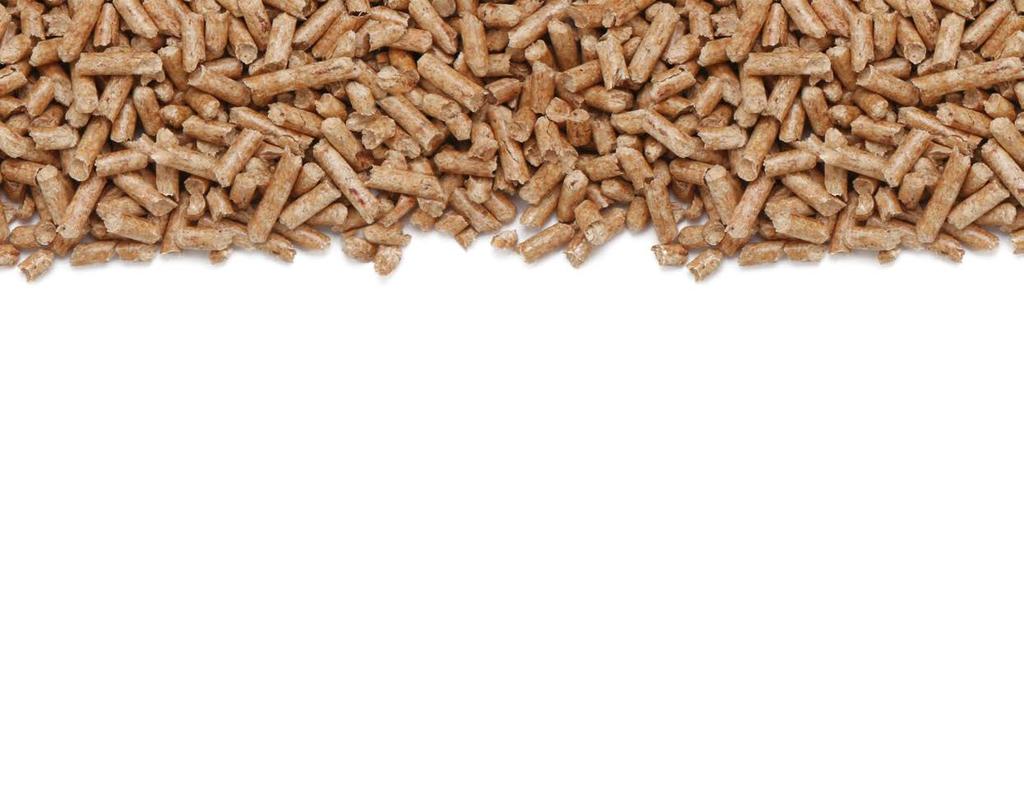 4 Biomass Fuel At the forefront of existing fuel types in the biomass market are wood pellets.