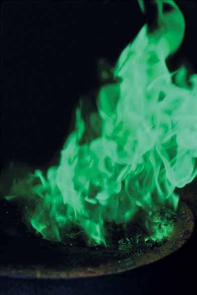 The green fire Our company concept is simple: Proximity, satisfied customers and respect for the environment. We work with authorised retailers who offer a full service.