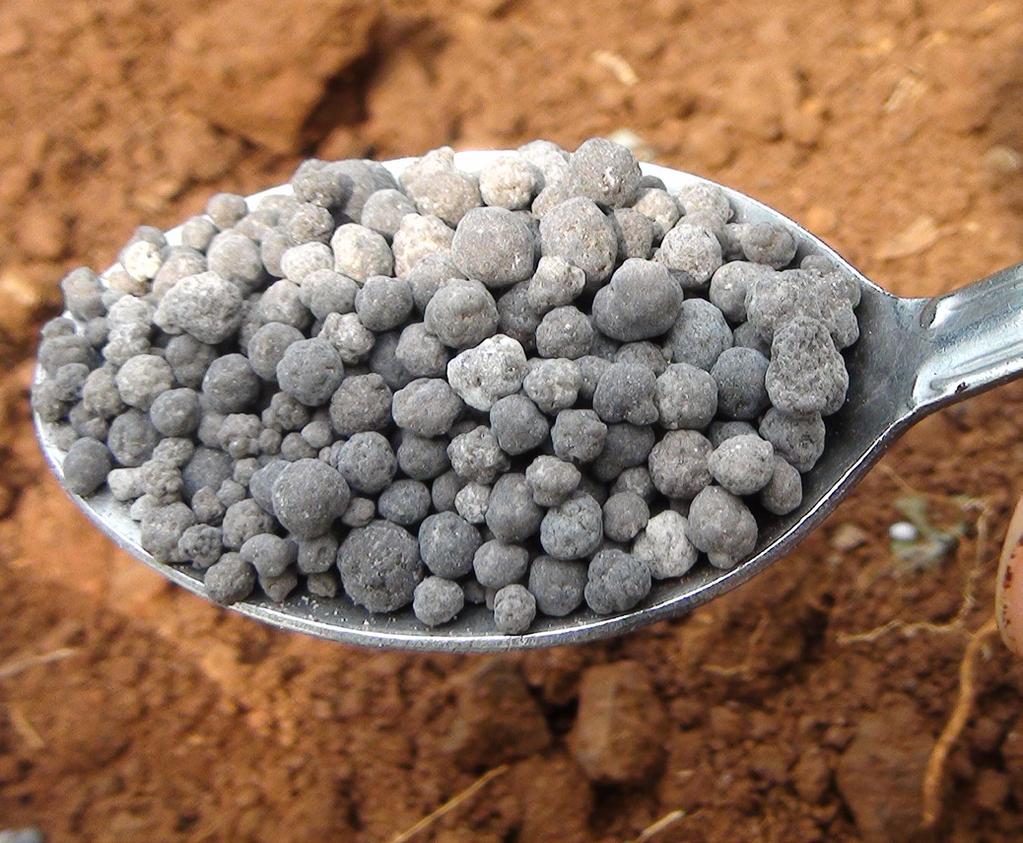Good fertilizer types for groundnut that supply phosphorus are Single Super Phosphate (SSP) and Triple Super Phosphate (TSP).