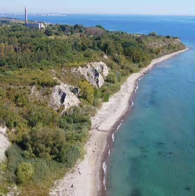 SCARBOROUGH WATERFRONT PROJECT Environmental Assessment EA Info Sheet #3 Toronto and Region Conservation Authority (TRCA) has initiated a study under the provincial Environmental Assessment Act to