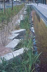 6.3 Stormwater The City of Greater Geelong prepared a Stormwater Management Plan to improve the environmental management of urban stormwater within the municipality to protect the environmental