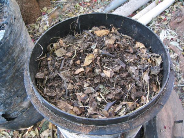 for plants like tomato, potato and onion. Worms may develop naturally in such a composting pile, and if not can be added artificially. They flourish.